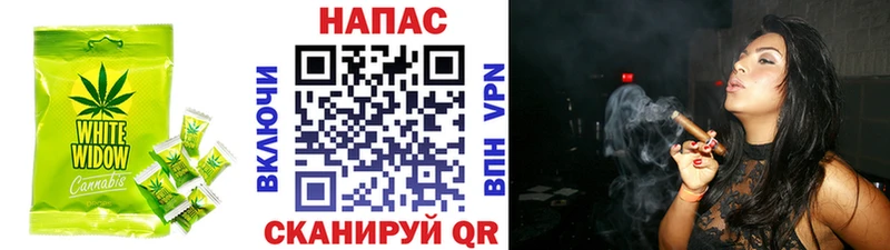 Cannafood конопля  Купить закладки  Грайворон 