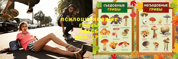 ПСИЛОЦИБИНОВЫЕ ГРИБЫ Баксан