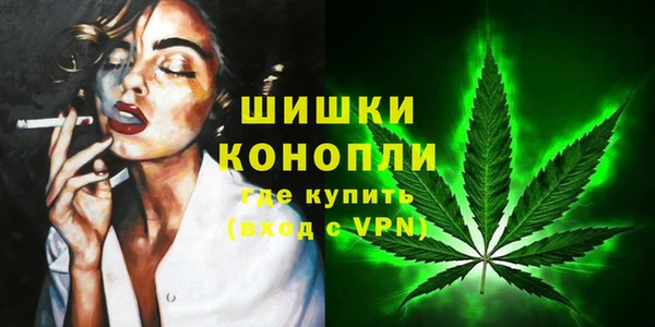 ПСИЛОЦИБИНОВЫЕ ГРИБЫ Баксан