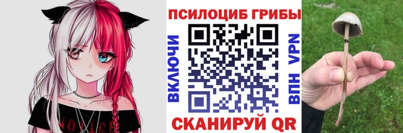Купить закладки  Грайворон  Псилоцибиновые грибы ЛСД 